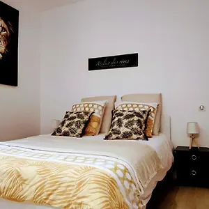 Appartement Cosy 2 Pieces A Deux Pas Du Petit Train De La Mure, La Mure (Isere)